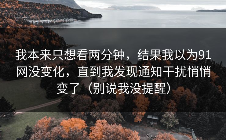 我本来只想看两分钟，结果我以为91网没变化，直到我发现通知干扰悄悄变了（别说我没提醒）