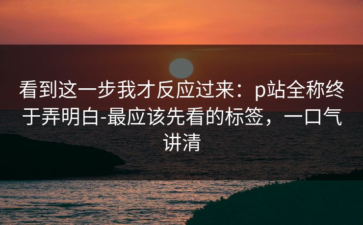 看到这一步我才反应过来：p站全称终于弄明白-最应该先看的标签，一口气讲清