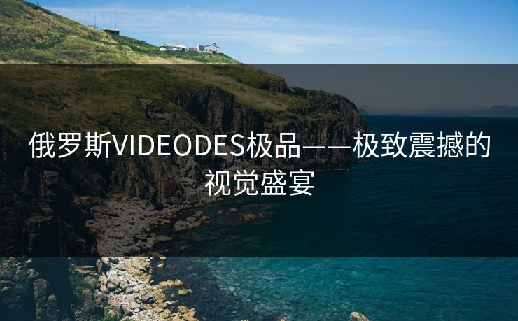 俄罗斯VIDEODES极品——极致震撼的视觉盛宴