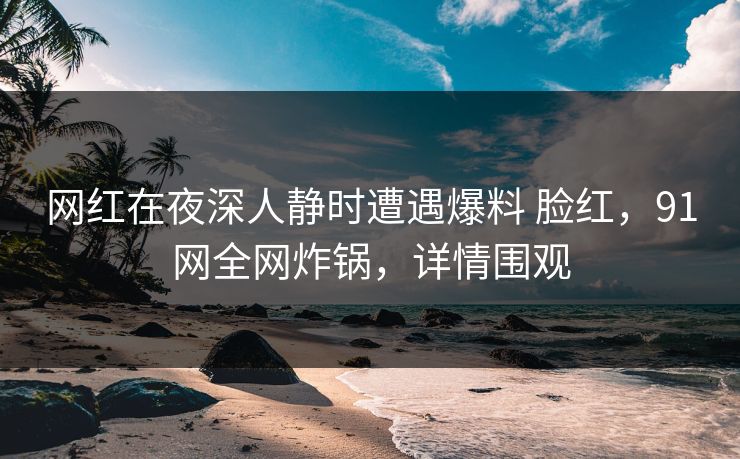 网红在夜深人静时遭遇爆料 脸红，91网全网炸锅，详情围观