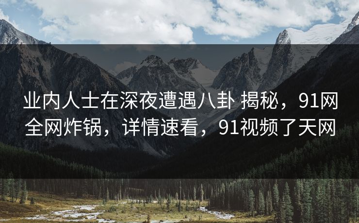 业内人士在深夜遭遇八卦 揭秘，91网全网炸锅，详情速看，91视频了天网